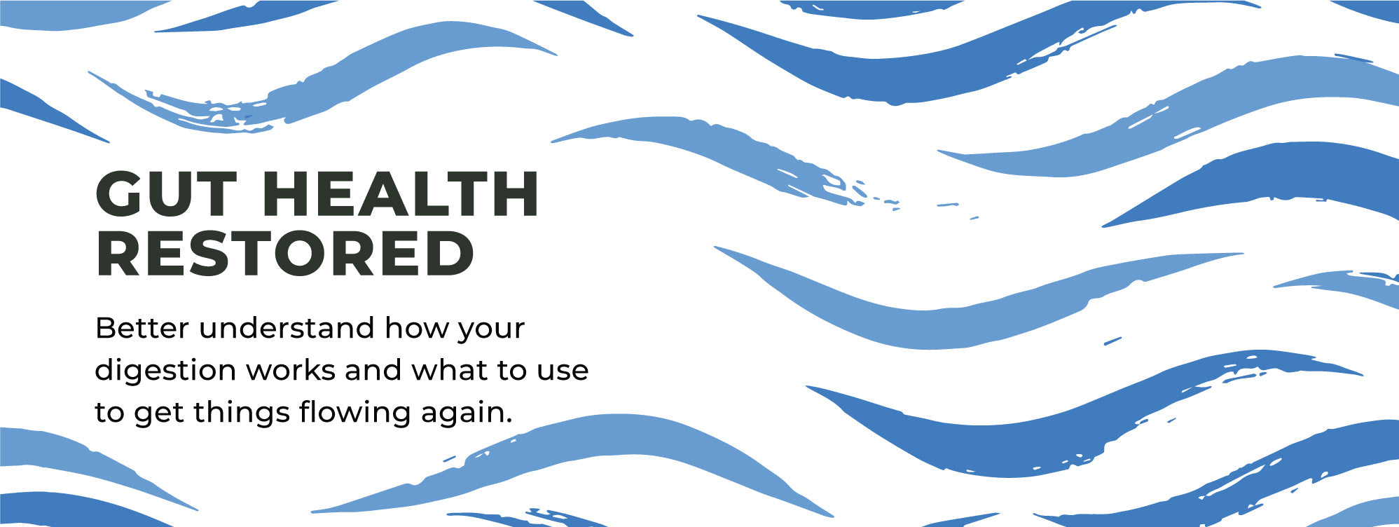 Gut Health Restored - Digestion