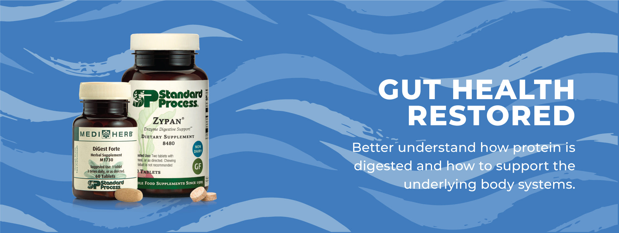 Gut Health Restored - Protein