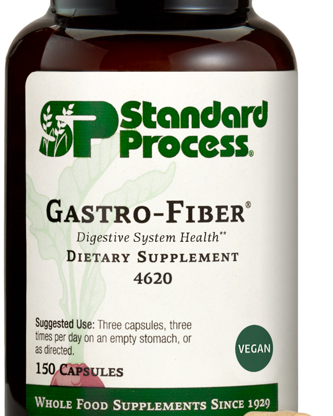 gastro fiber