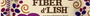 Fiber d'Lish Cinnamon Raisin 16 Bars