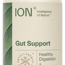 ION* Gut Support 8 fl oz