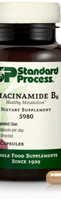 Niacinamide B6, 90 Capsules