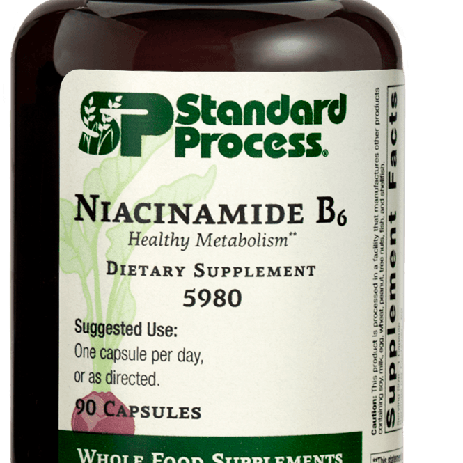 Niacinamide B6, 90 Capsules