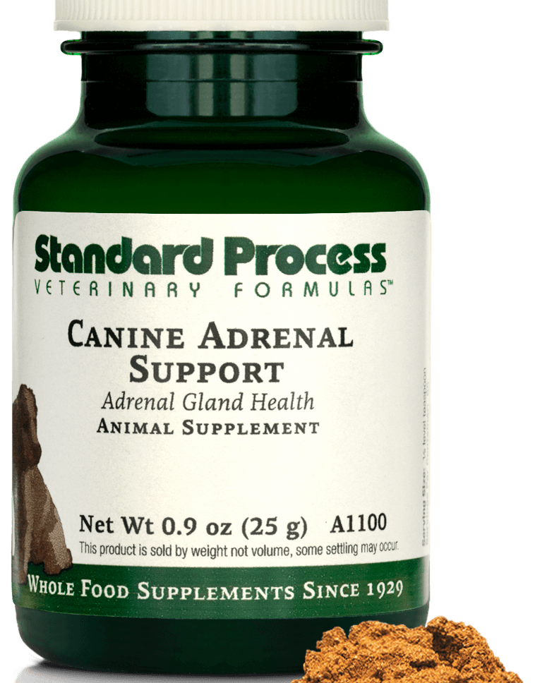 Canine Adrenal Support, 25 g