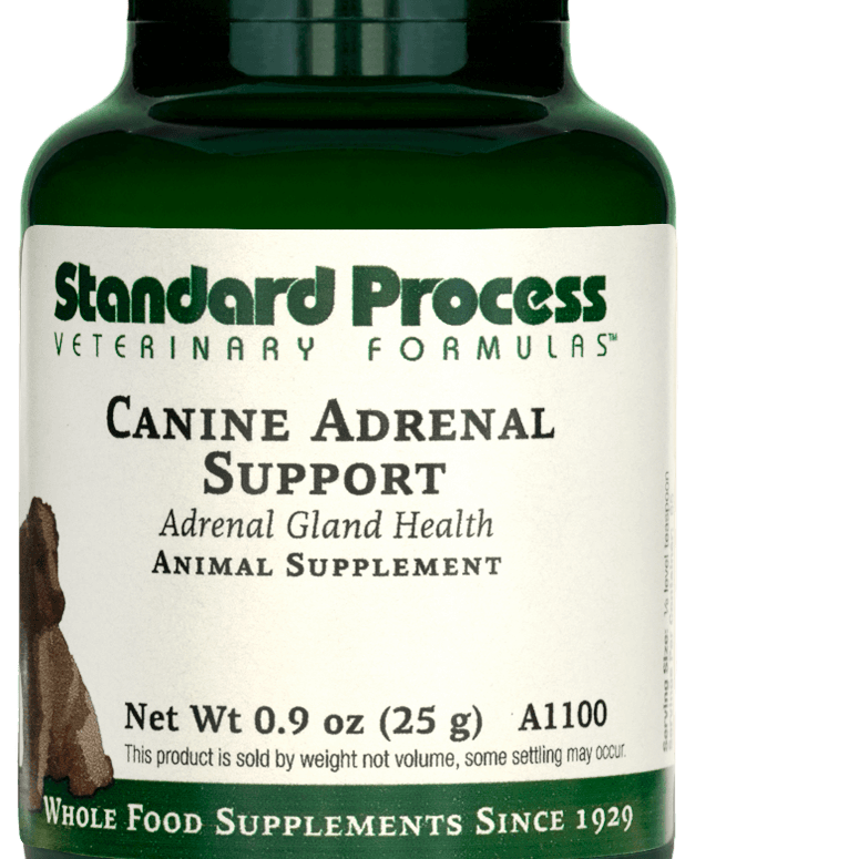 Canine Adrenal Support, 25 g