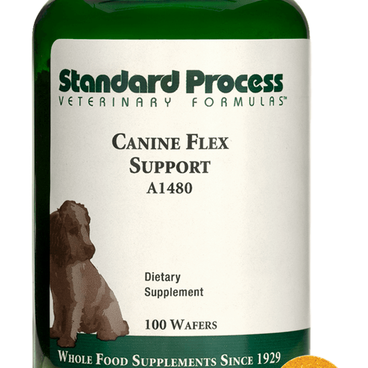 canine flex