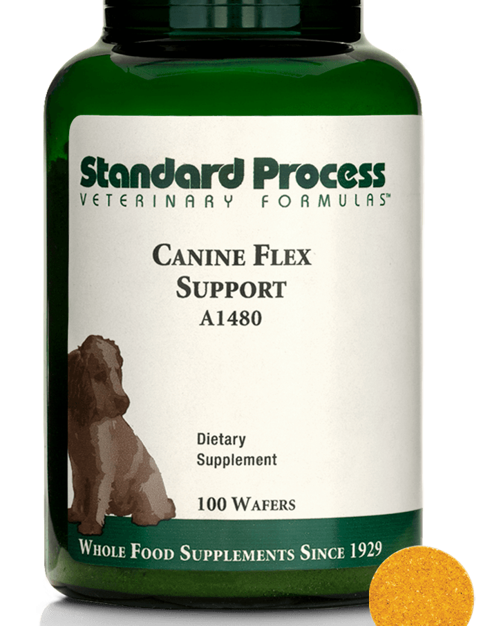 canine flex