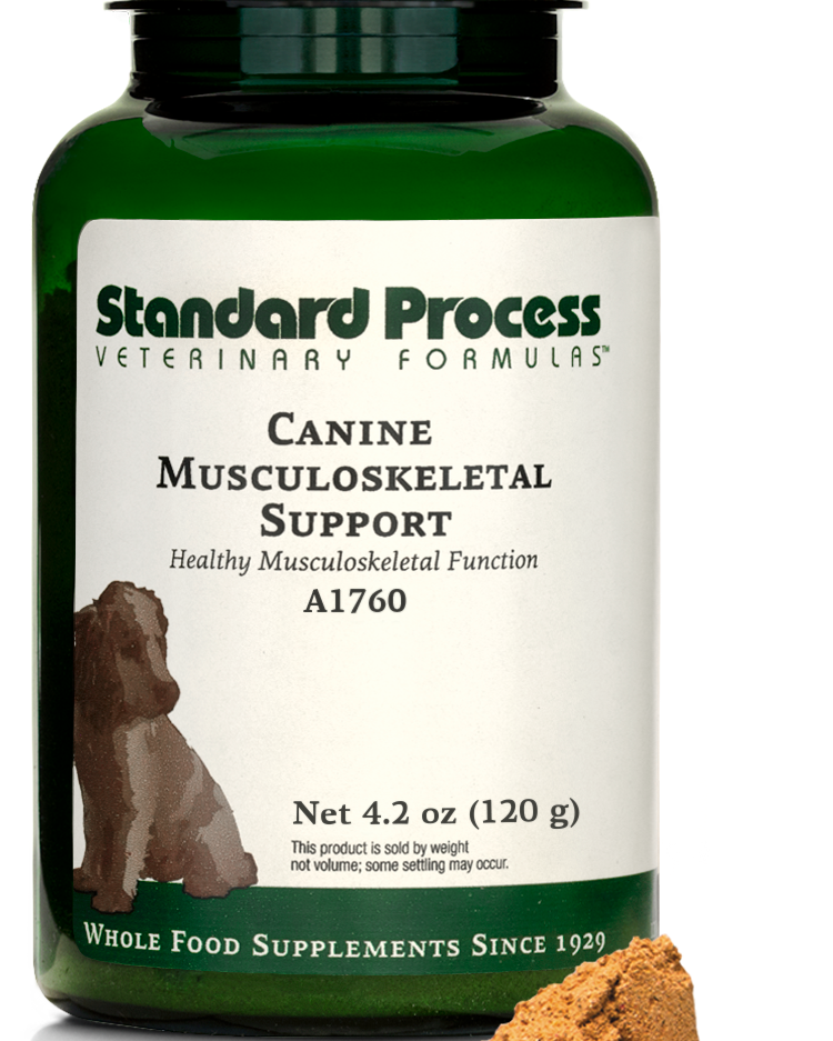 A bottle of Canine Musculoskeletal Support, a powder supplement for dogs’ muscles, ligaments and bone health, next to an image of the powder supplement.
