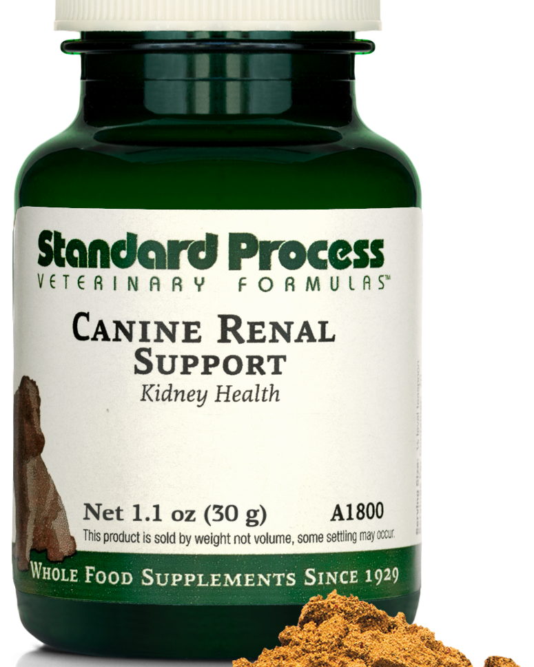 Canine Renal Support, 30 g