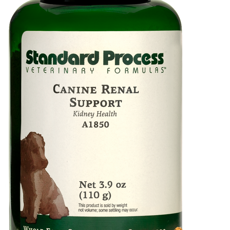 Canine Renal Support, 110 g