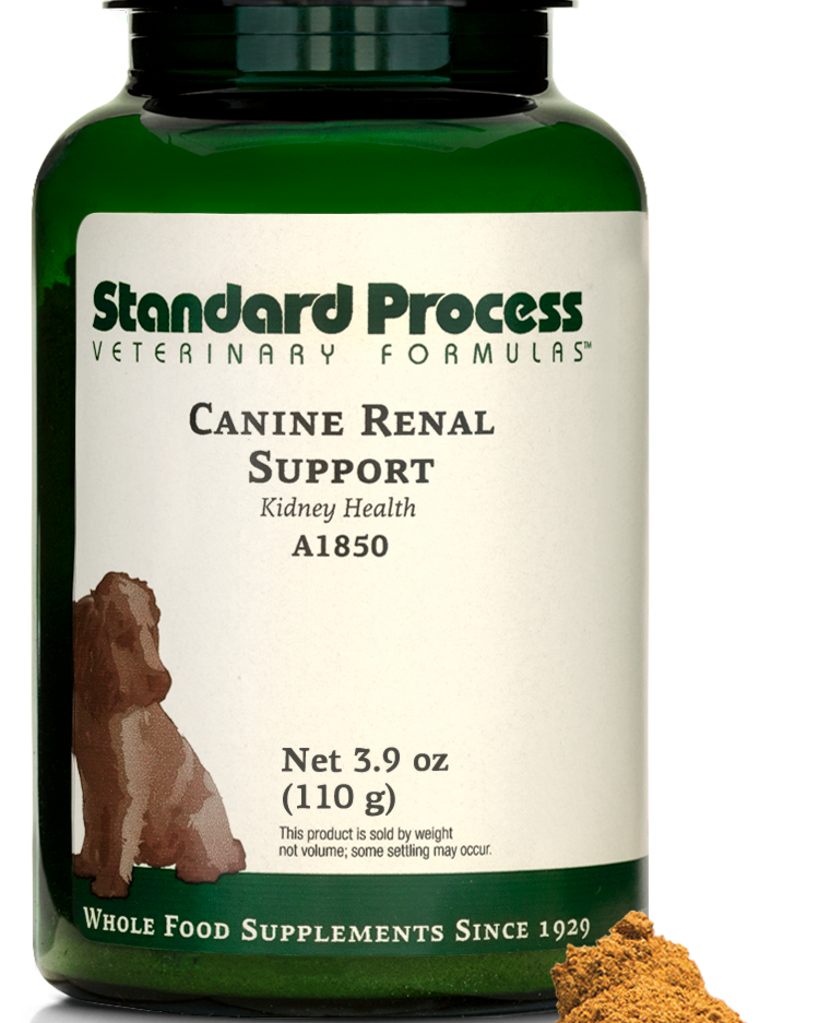 Canine Renal Support, 110 g