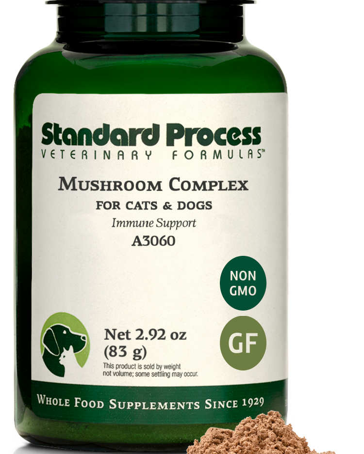 mushroom complex