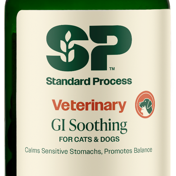 GI Soothing, 3.46 oz (98 g)
