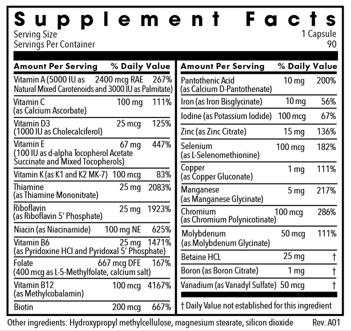 The Big One® with Iron 90 Capsules Supplement Facts