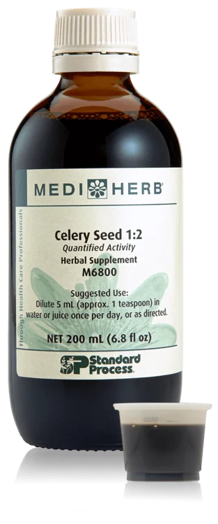 Celery Seed 1:2