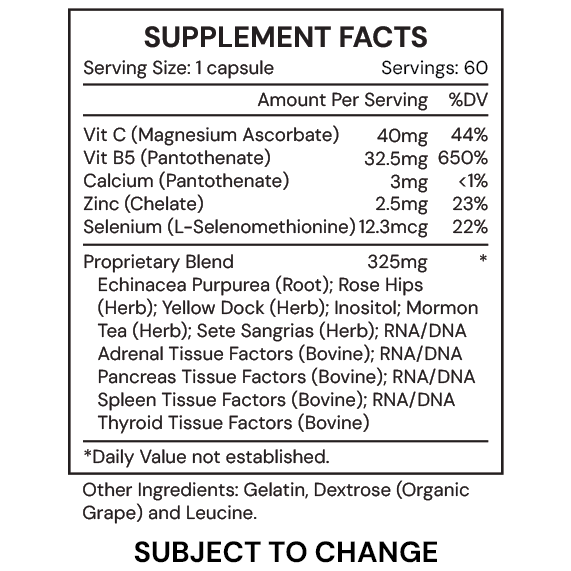 Systemic Formulas GA Adrenal – Advanced Adrenal Support & Energy Formula