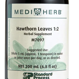 Hawthorn Leaves 1:2