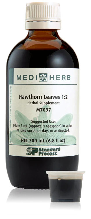 Hawthorn Leaves 1:2