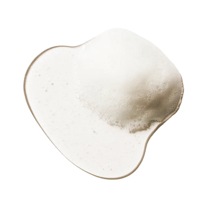 100% Pure Honey & Coconut Restorative Shampoo for Dry Hair – 16 fl oz