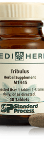 Tribulus, 40 Tablets