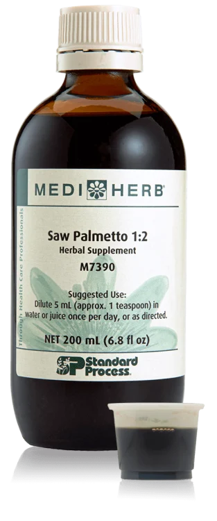Saw Palmetto 1:2