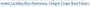 V-BoricPro 30 Suppositories Supplement Facts