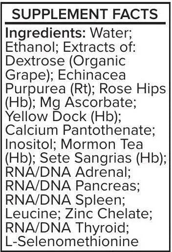 Systemic Formulas CXGA Adrenal – Advanced Adrenal Support & Energy Formula