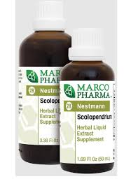 Marco Pharma Scolopendrium