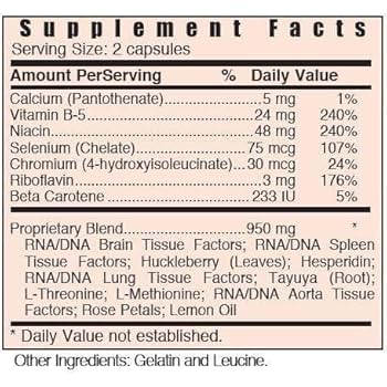 Systemic Formulas N-Nerve – Nerve, Brain & Neurological Support Supplement